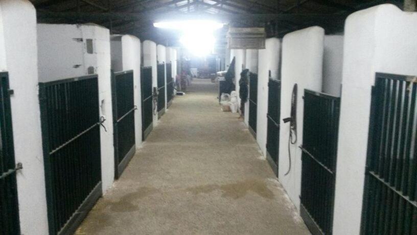 B&B Yeguada La Parrilla El Escorial Eksteriør billede